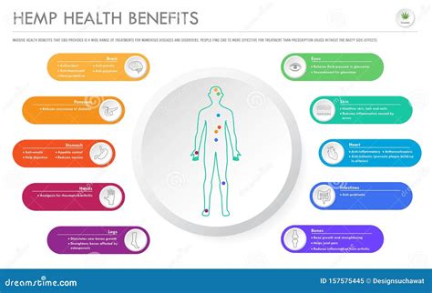 Hemp Health Benefits Horizontal Business Infographic Stock Image Image Of Cannabis Hemp