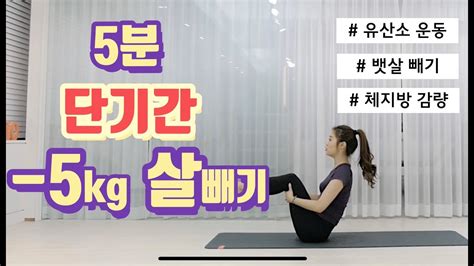 단기간 살빼기 층간소음 없는 유산소운동 체지방감량 뱃살빼기 workout pilates matpilates