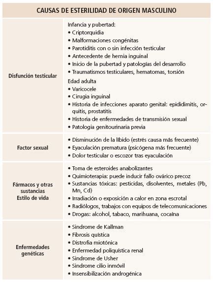 Causas de Esterilidad de Origen Masculino Gravida Fertilitat Avançada