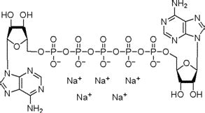 P113572 P1 P5 Di adenosine 5 pentaphosphate pentasodium e브릭몰