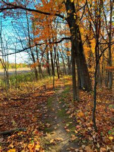 Fall in Love with Fall Trail Running