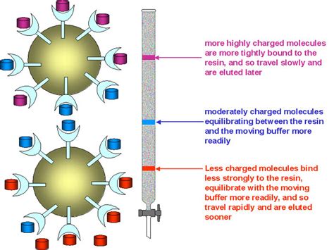 My Scientific Blog Research And Articles Ion Exchange Chromatography