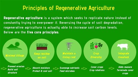 What Is Regenerative Agriculture And Why It Matters Artofit