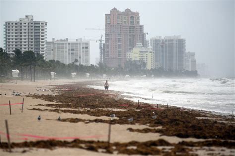 Fpl Says New Florida Law Should Short Circuit Long Running Hurricane Irma Lawsuit Sun Sentinel