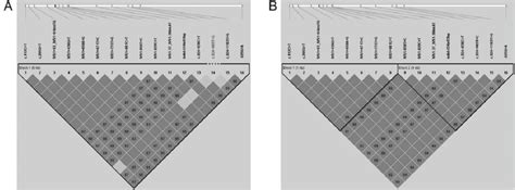 Haplotype block structure for the 16 common polymorphisms. The... | Download Scientific Diagram