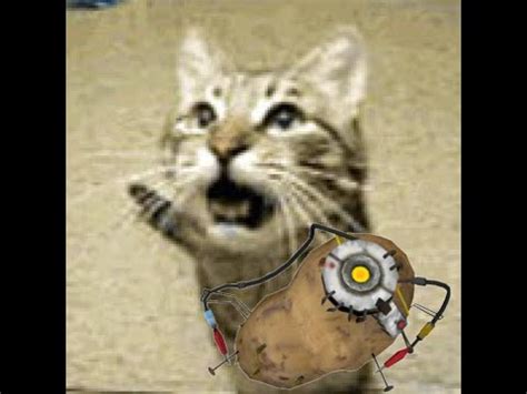 Meowsynth Want You Gone Portal 2 YouTube Music