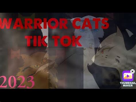 Warrior Cats Tik Tok Credits In Descrip Youtube