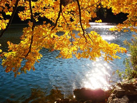 1000+ images about Fall Foliage on Pinterest | Lakes, Falls creek and ...