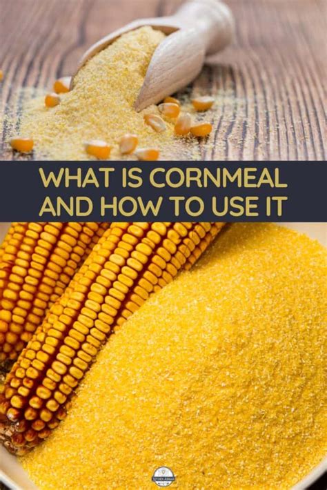 What Is Cornmeal And 8 Best Alternatives