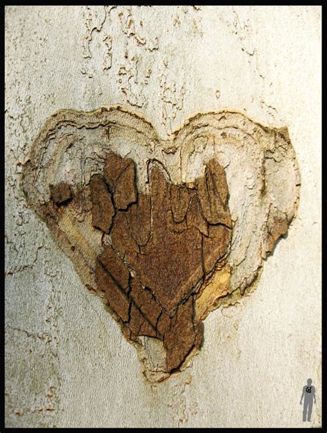 Withered Heart By Robnoah On Deviantart