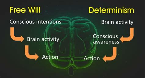 Determinism Types What It Means And How It Affects You