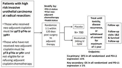 Figure Checkmate Study Design Schematic Nivolumab Opdivo