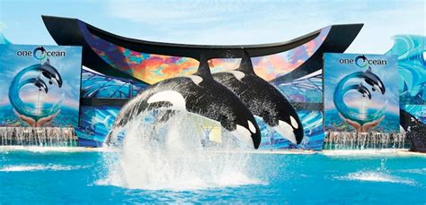 SeaWorld Closing Orca Show - Earthrace Conservation