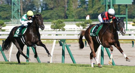 【デイリー杯2歳s登録馬】セリフォスなど8頭 ニコニコニュース