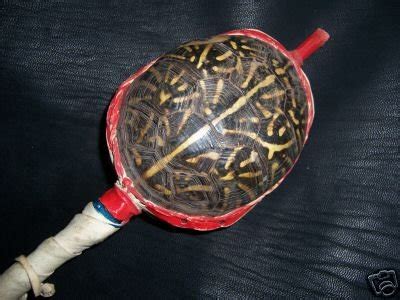 Very Old Native American Turtle Shell Rattle ,Buckskin | #27994201