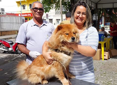 Prefeitura de Itabuna já vacinou 11 mil cães e gatos contra a raiva