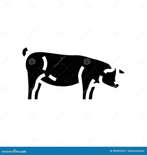 Berkshire Pig Breed Glyph Icon Vector Illustration Stock Illustration