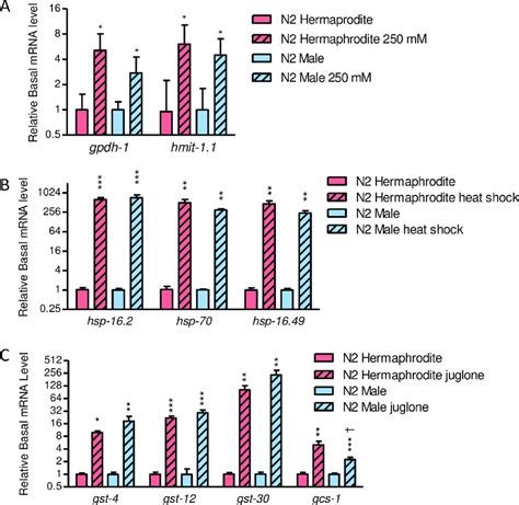 Stress Response Gene Induction In N2 Males And Hermaphrodites