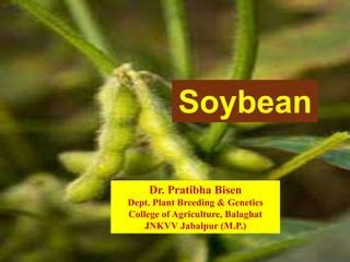 Soybean Breeding PPT