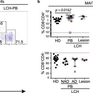 γδ T cell subsets in LCH a Gating strategy for identifying γδ T cell