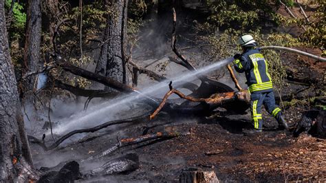 Feuerwehr Zwischenbilanz Wir Haben Ein Rekord Waldbrandjahr