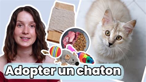 Les INDISPENSABLES Pour Adopter Un Chaton TOUT Ce Quil Vous Faut