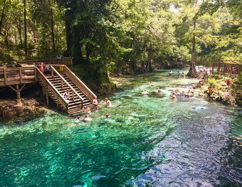 Swimming at Madison Blue Spring State Park in Florida