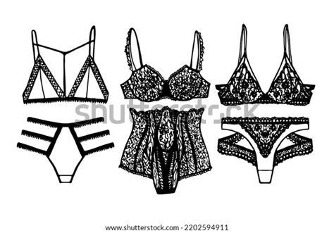 Collection Elegant Lingerie Trendy Female Underwear Stock Vector Royalty Free