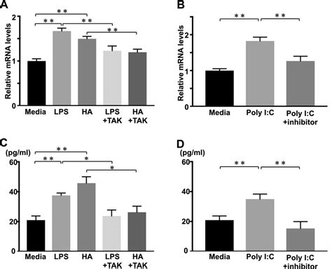 Il Mrna Expression And Protein Levels In Hacat Cells Stimulated