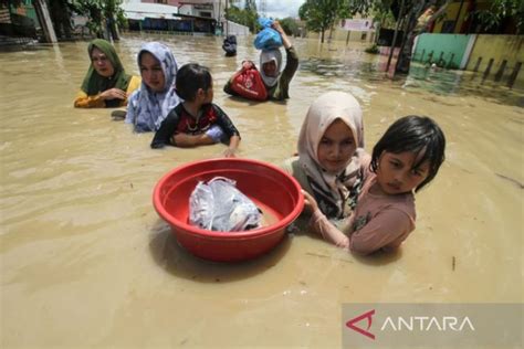 Kerugian Akibat Banjir Di Aceh Utara Capai Rp Miliar Antara News