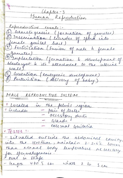 Chapter 11 Biotechnology Principles And Processes Class 12 Handwritten