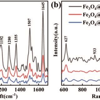 A Sers Spectra Of And Mol L Rhb Adsorbed On