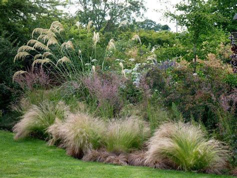 Site privé Aménagement jardin graminées Jardin massif Parterre de