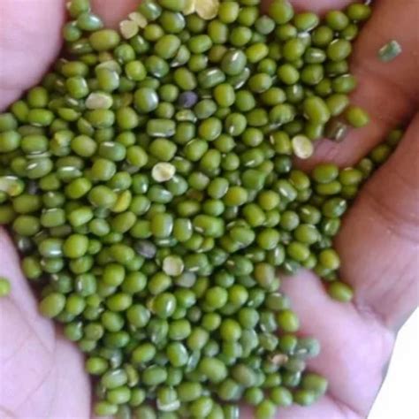 Moong Seeds For Agriculture Packaging Size Kg At Rs Kg In