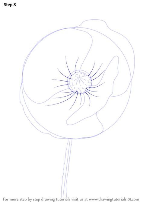 How To Draw An Abstract Flower Step 8