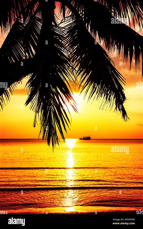 Palm Tree Silhouette On Sunset Tropical Beach Coconut Palm Tree Against Colorful Sunset On The