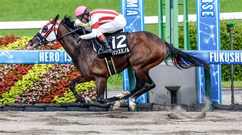 【217 小倉城sほか】小倉ダイジェストjraレース結果 競馬予想動画 Netkeiba