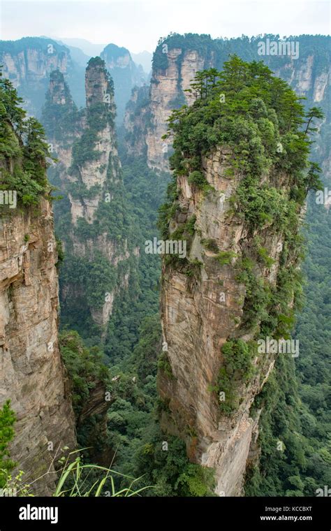 Mihuntai, Yuanjiajie Scenic Area, Wulingyuan Stock Photo - Alamy