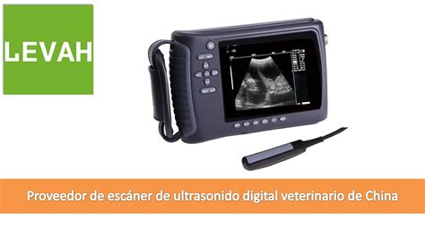 Levah Esc Ner De Ultrasonido Veterinario M Quina De Ultrasonido