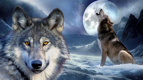 Wolf Fantasy Wallpapers Group (82+)