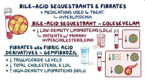 Bile Acid Sequestrant And Fibrate Therapy Osmosis Video Library