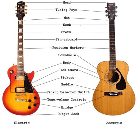 The Anatomy Of A Guitar Terms You Need To Know Guitar Space