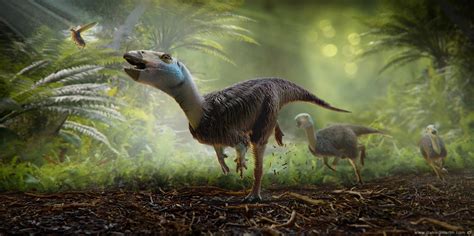 Damir G Martin Heterodontosauridae