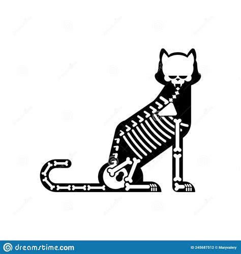 Skeleton Cat Isolated. Cat Skull and Bones Stock Vector - Illustration ...