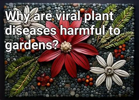 Why Are Viral Plant Diseases Harmful To Gardens Gardening Gov Capital