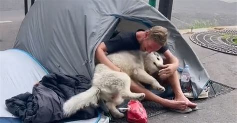 Gr Ce Sa Chienne Extraordinaire L Gard Dun Sans Abri Un