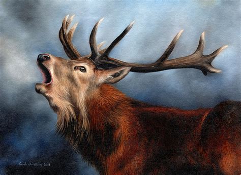 Red Deer Stag Painting By Sarah Stribbling Pixels