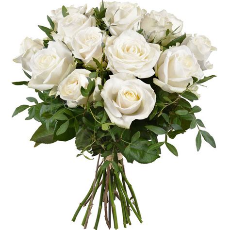 rosas blancas - envio de rosas | Teleflora