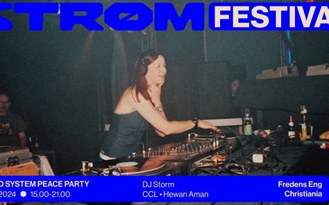 Strøm Festival 2024 Sound System Rooftop Party Strøm