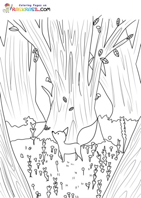 Total Imagem Desenhos De Floresta Para Colorir Br Thptnganamst Edu Vn